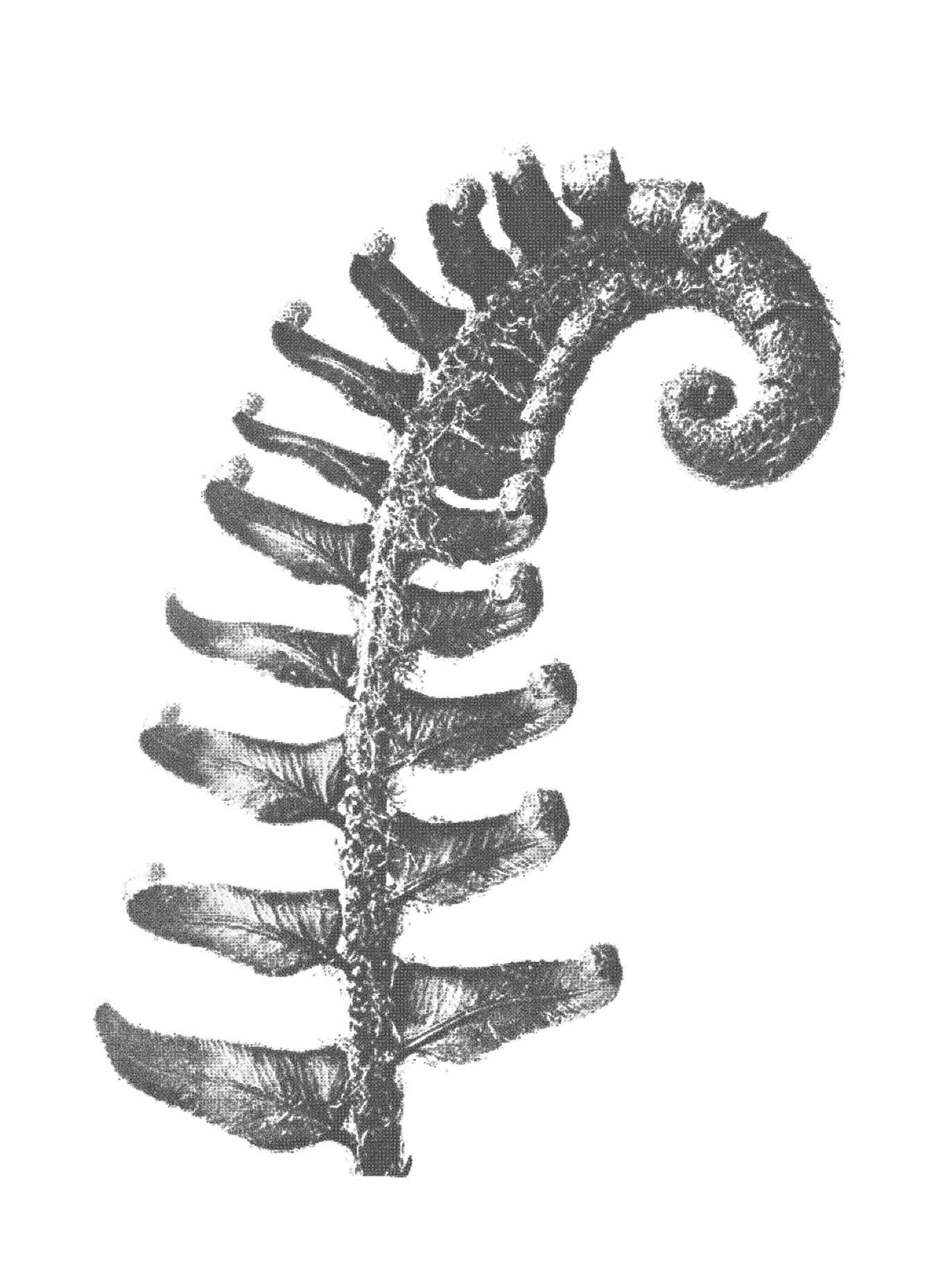AAM010