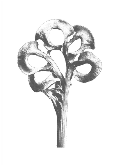 AAM011