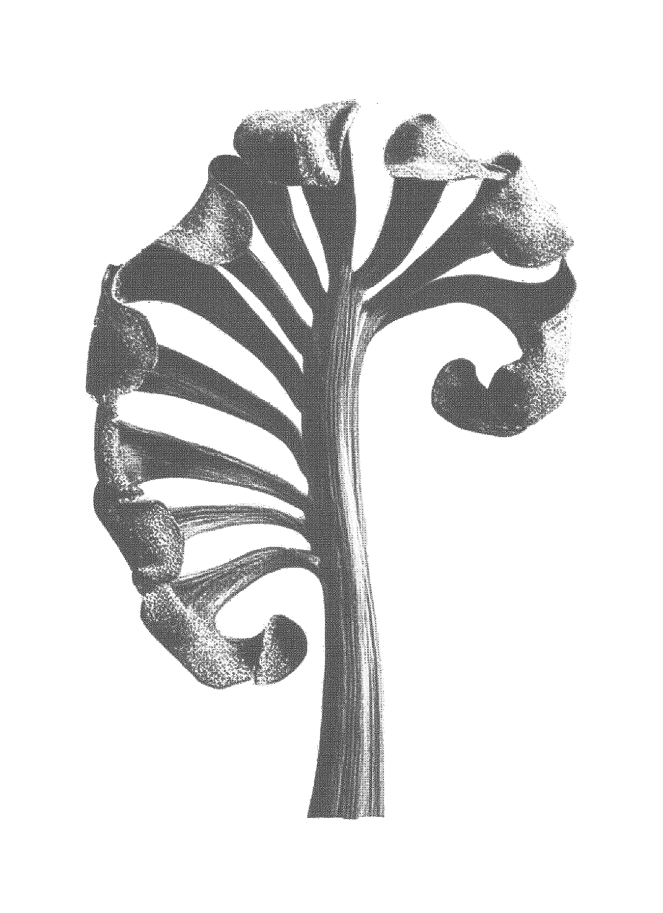 AAM009