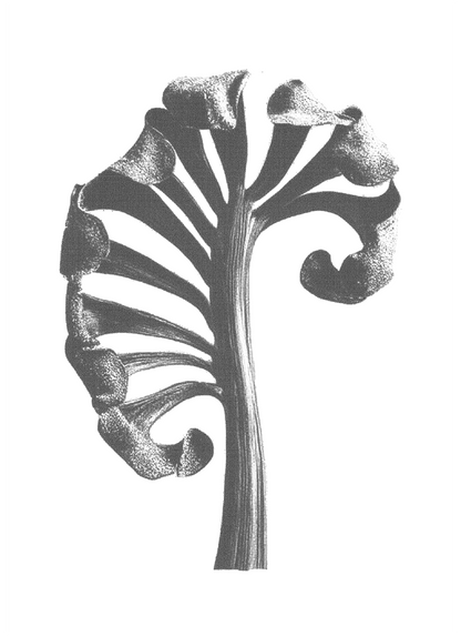 AAM009