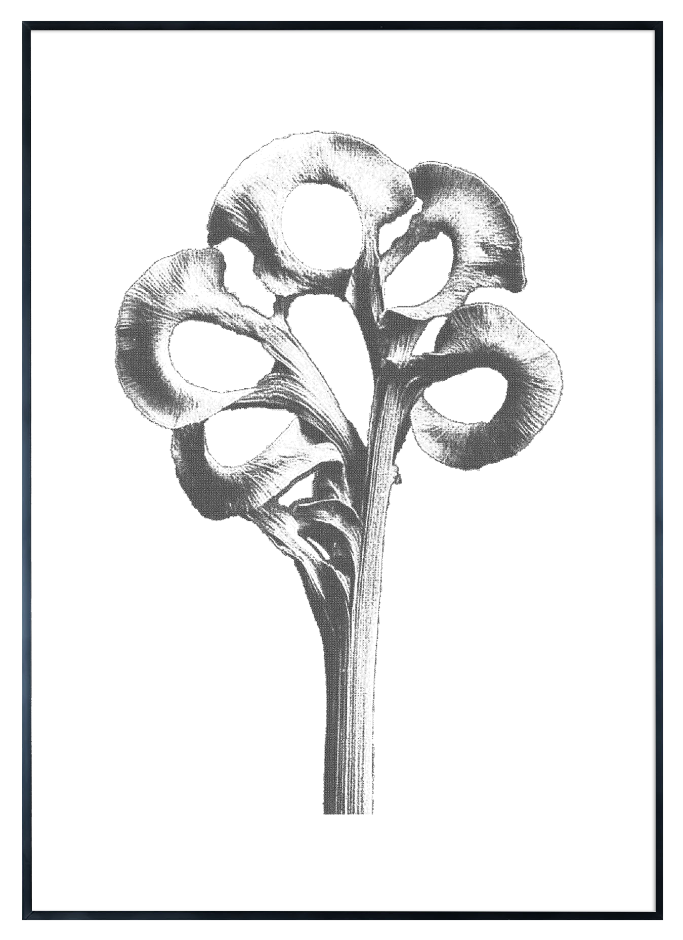 AAM011