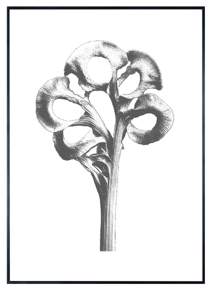 AAM011