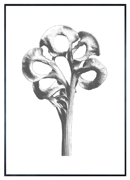 AAM011