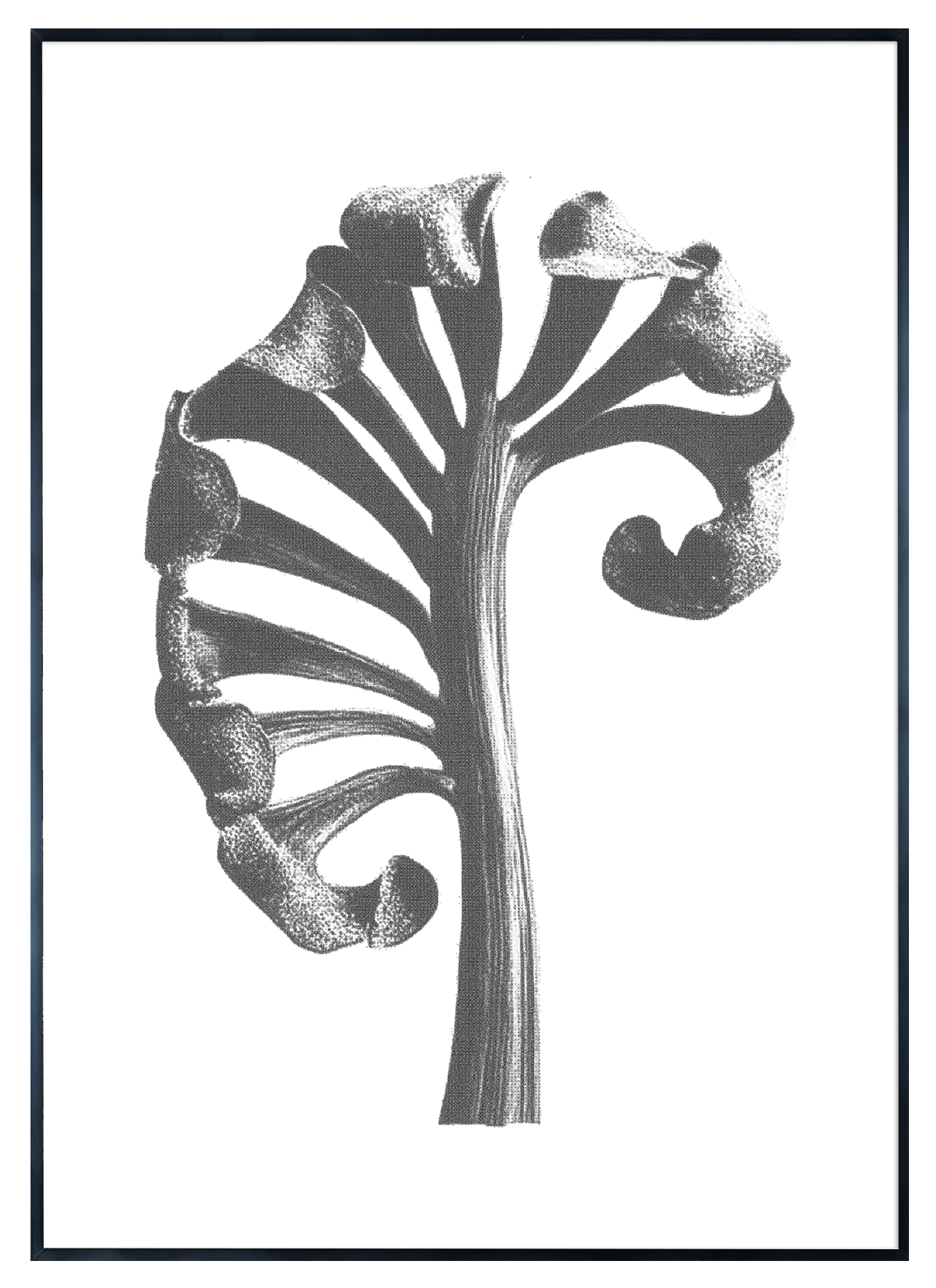 AAM009