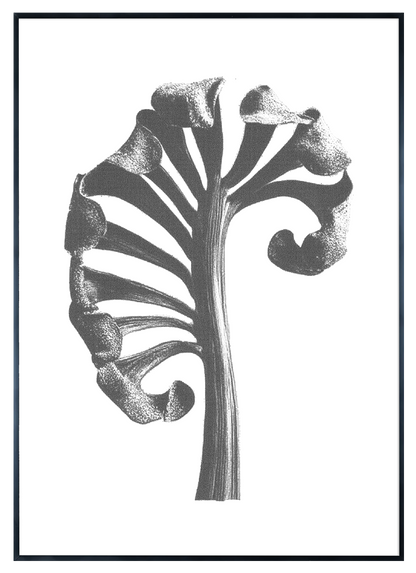 AAM009