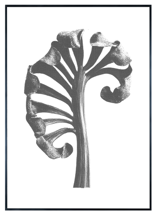 AAM009
