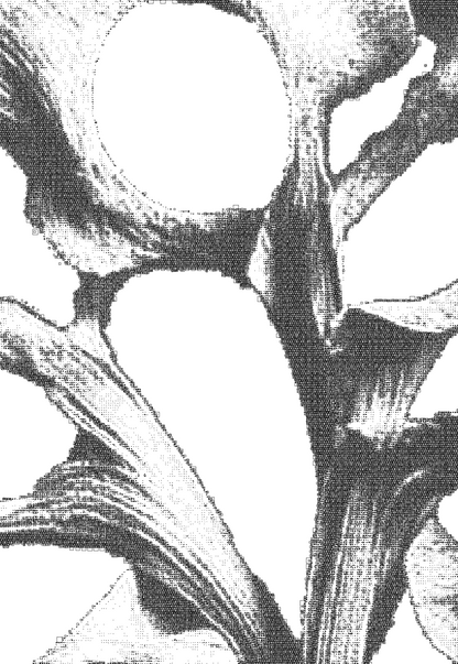 AAM011